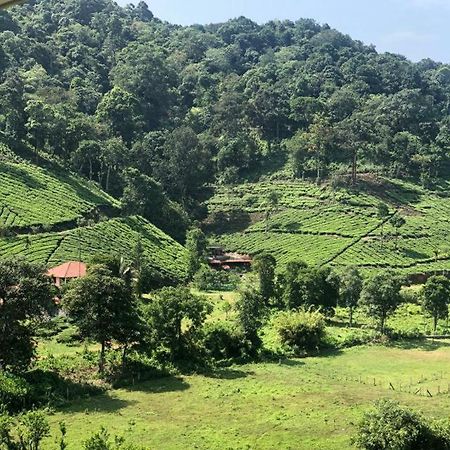 Janiro Tea Trees Villas ไวทีรี ภายนอก รูปภาพ