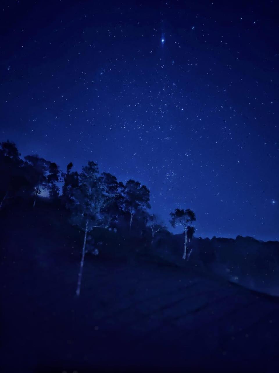 Janiro Tea Trees Villas ไวทีรี ภายนอก รูปภาพ