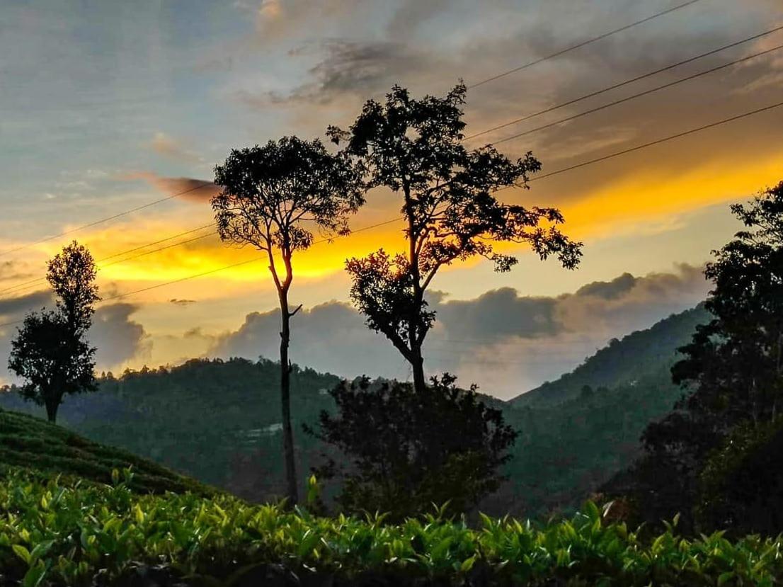 Janiro Tea Trees Villas ไวทีรี ภายนอก รูปภาพ