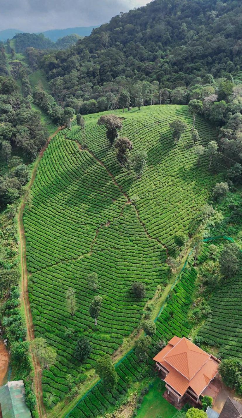 Janiro Tea Trees Villas ไวทีรี ภายนอก รูปภาพ
