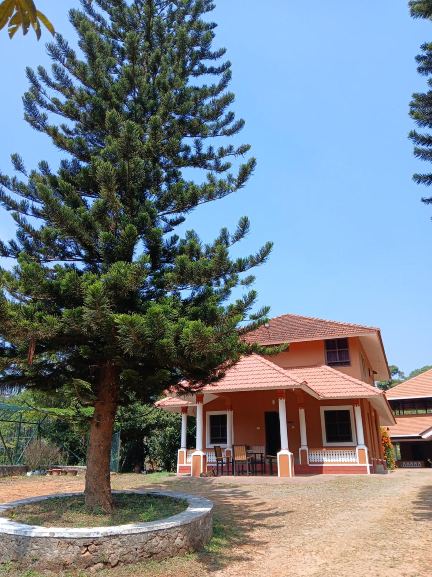 Janiro Tea Trees Villas ไวทีรี ภายนอก รูปภาพ