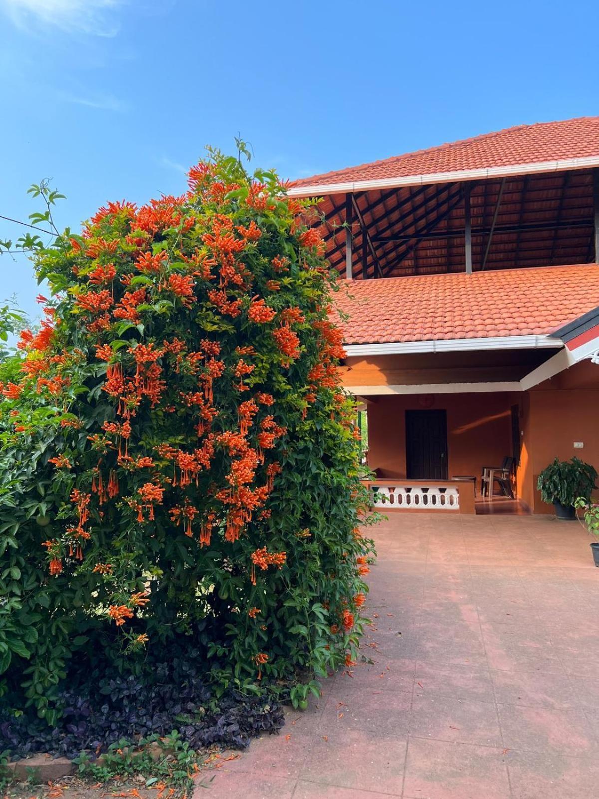 Janiro Tea Trees Villas ไวทีรี ภายนอก รูปภาพ