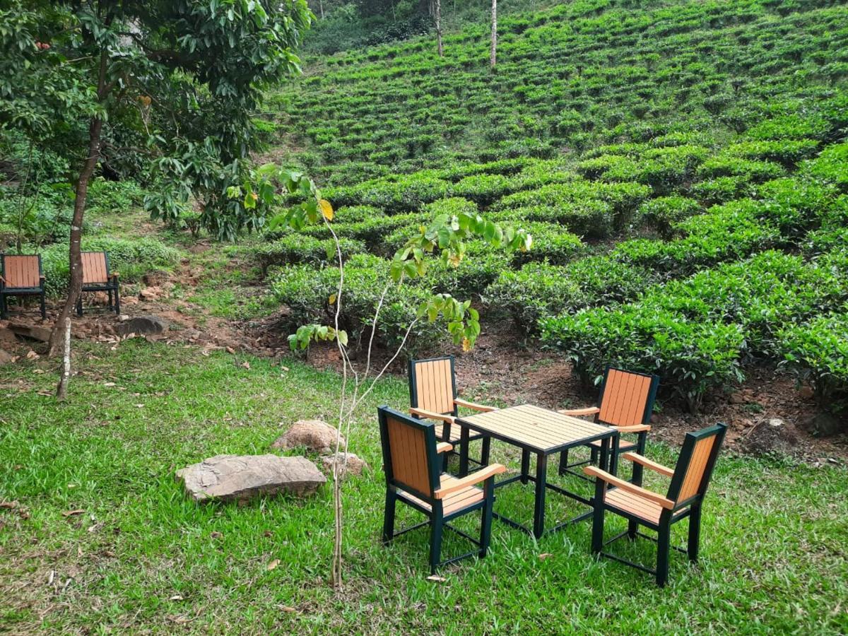 Janiro Tea Trees Villas ไวทีรี ภายนอก รูปภาพ